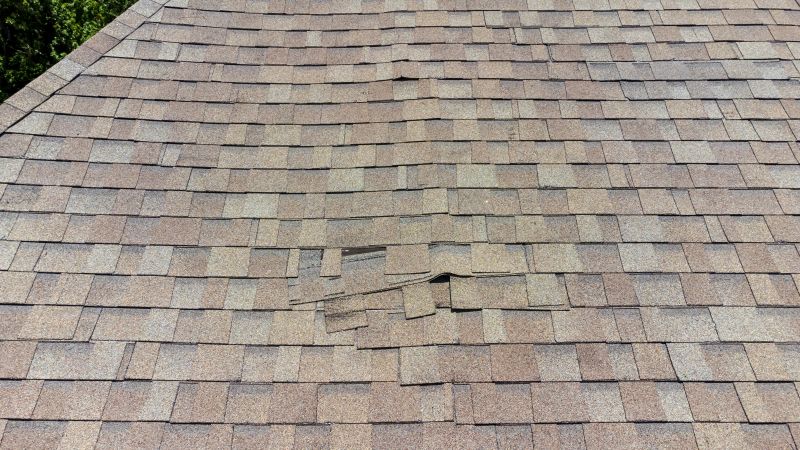 Asphalt Roof Inspection in Newbury, OH