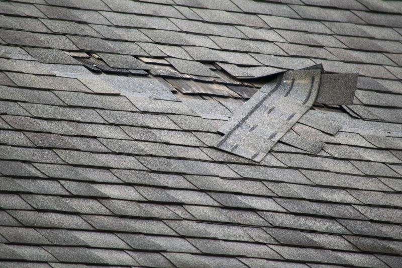 Asphalt Roof Leak Repair in Summit County, OH
