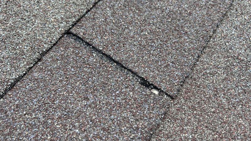 Asphalt Roof Repair in Portage County, OH