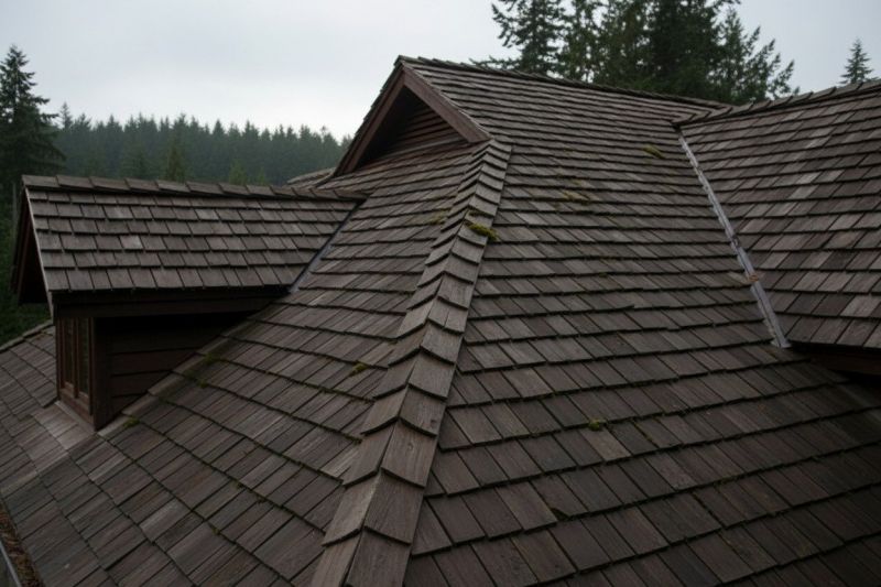 Cedar Shingles Replacement in Broadview Heights, OH
