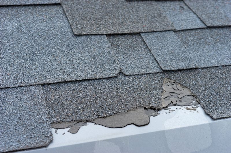 Damaged Roof Repair in Portage County, OH