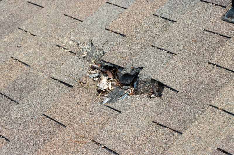 Damaged Roof Replacement in Barberton, OH