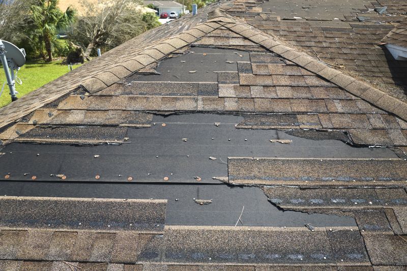 Roof Hail Damage Repair in Portage County, OH