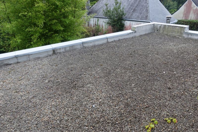 Tar And Gravel Roof Repair in Berlin Center, OH